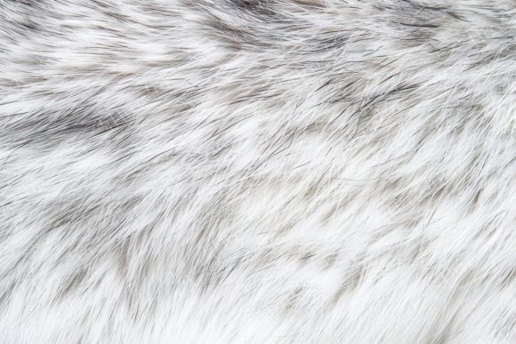 Download Soft Fur Texture - Premium Resources